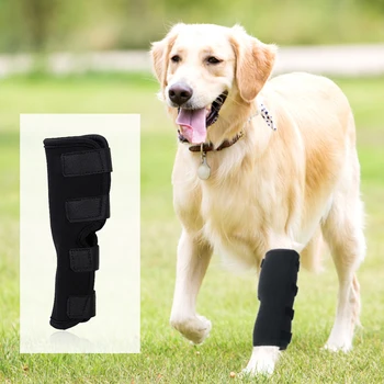 Коленете крака домашни любимци за възстановяване на артрит срещу зализывания рани помощни средства за краката S/M/L/XL Бандаж за краката аксесоари за кучета  5